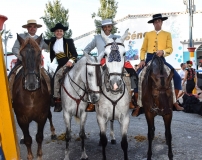 Feria-de-Rosario-2019-17