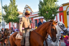 Feria-de-Rosario-2019-8
