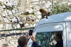 Gibraltar-22
