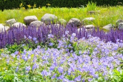 Katariina-Meripuisto-20