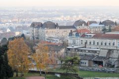 Lyon-77