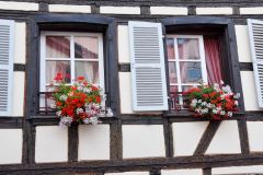 Strasbourg-17