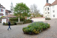 Uberlingen-4